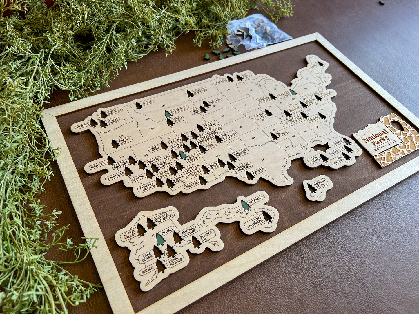 Every Chase | National Parks Bucket List Map | USA