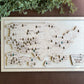Every Chase | National Parks Bucket List Map | USA