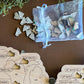 Every Chase | High Points Bucket List Map | Curated